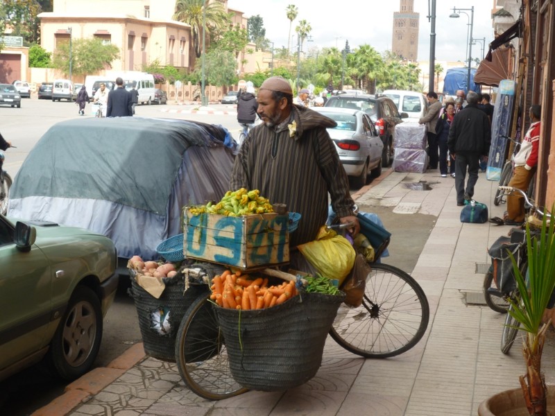 Marocco 2011 084_1