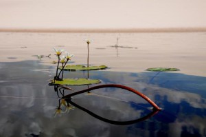 lagunaazul6