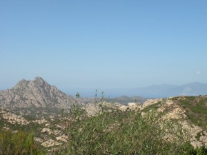 desertdesagriates