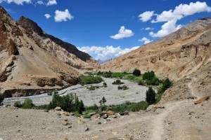 ladakh20