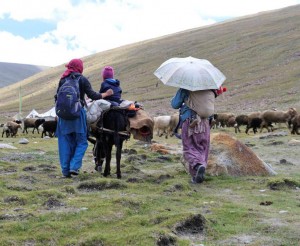 ladakh29
