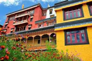 ladakh32