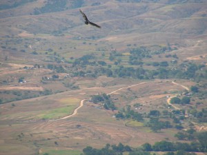 montealban061