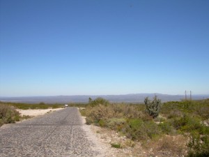 realdecatorce4