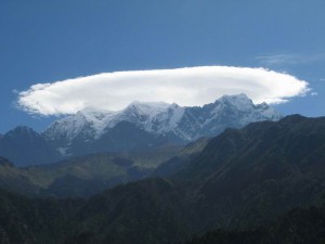 nilgiri