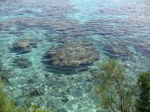 lifou10