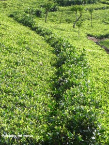 image003 (1)
