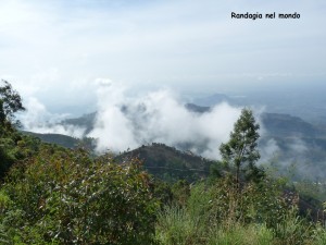 image017 (1)