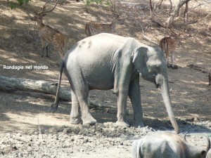 image035