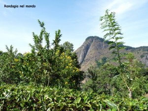 image051 (1)