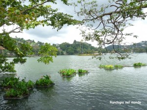 image067 (1)