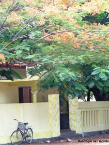 image067 (3)