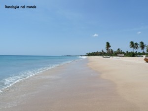 image079 (3)