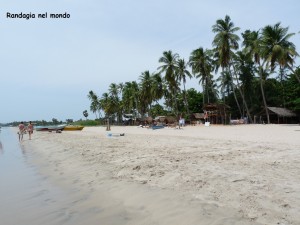 image081 (3)