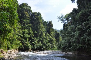 sumatra13