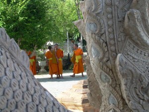 monacibuddhisti